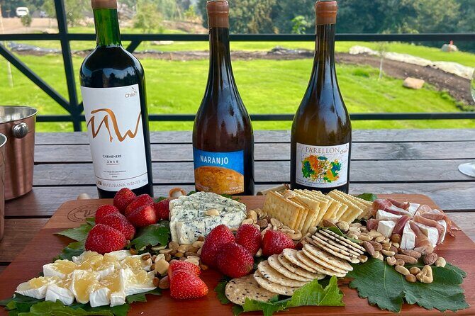 Private Tour at Maturana Wines and VIK winery with Lunch - An In-Depth Look at the Private Tour Experience in Chile
