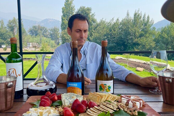 Private Tour at Maturana Wines and VIK winery with Lunch - Final Thoughts: Is This Tour Worth It?