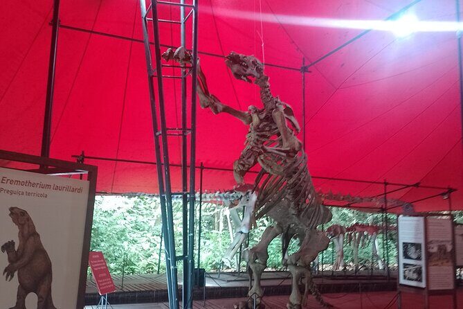 Private Tour at Musa (Botanical Garden, Amazon Museum) - Final Thoughts