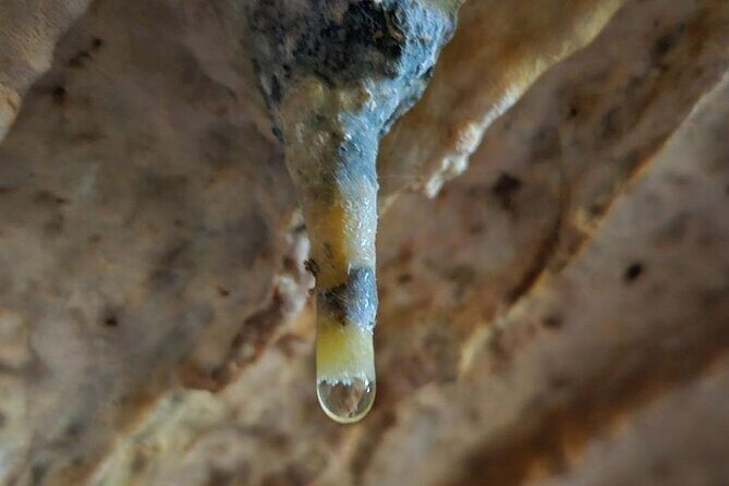 Private Tour at Naracoorte Caves - Overall Experience and Value