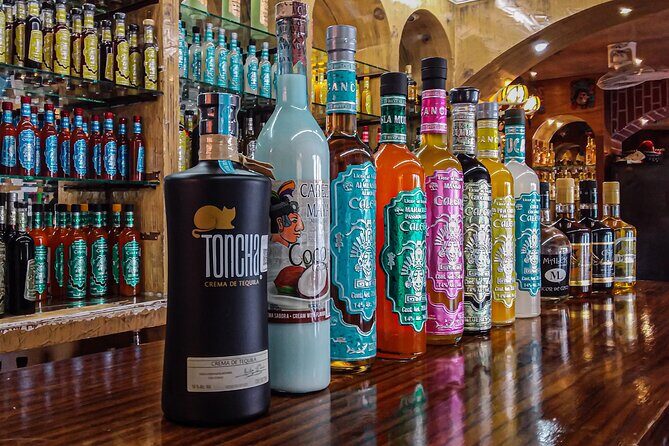 Private Tour at Puerto Morelos & Cenote from Cancun with Tequila - Frequently Asked Questions