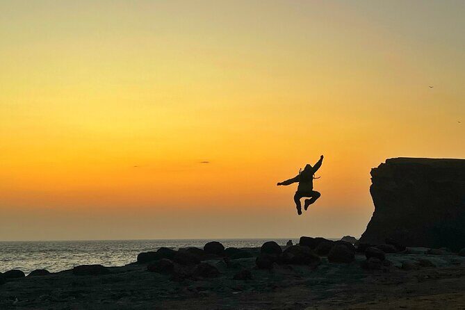 Private Tour at The National Reserve of Paracas - Key Points