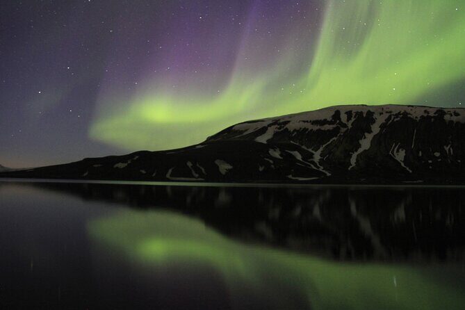 Private tour / Aurora Hunt - Northern Lights Super Jeep Tour - The Sum Up
