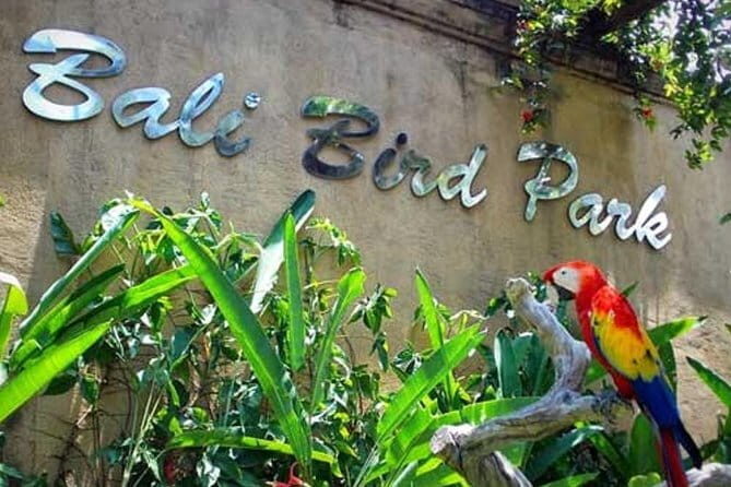 Private Tour Bali Bird Park And Ubud Tour - A Closer Look at the Itinerary: What You Can Expect