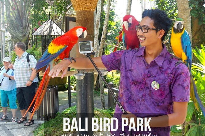 Private Tour Bali Bird Park And Ubud Tour - What’s Included and What’s Not
