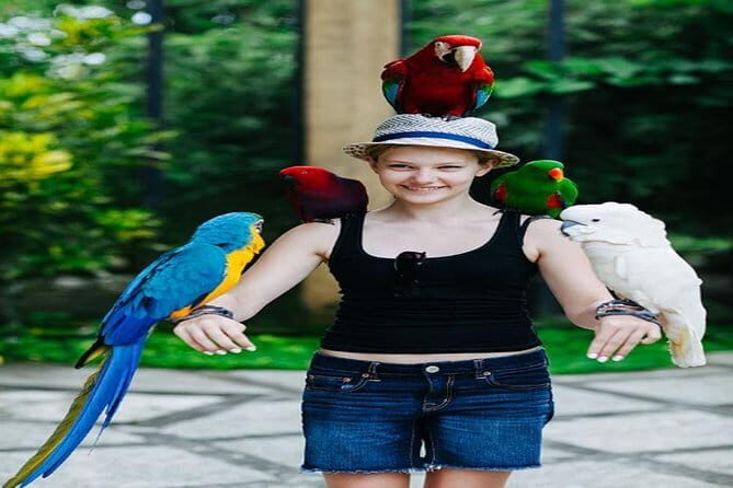 Private Tour Bali Bird Park And Ubud Tour - Who Should Consider This Tour?