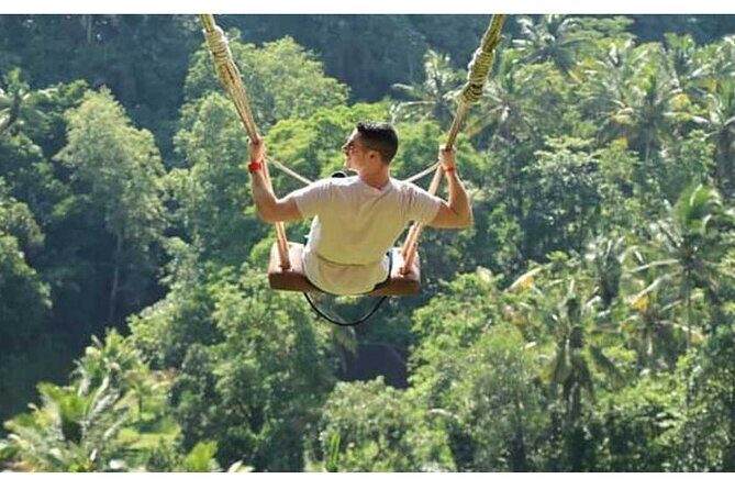 Private Tour Bali Swing & Visiting Temples in Bali - Exploring the Bali Swing: A Heart-Pumping Highlight