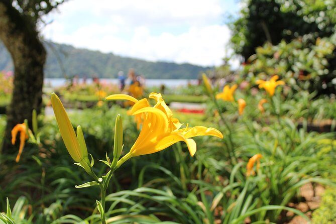 Private Tour: Bali Temples, Hidden Waterfall and Handara Gate - Frequently Asked Questions