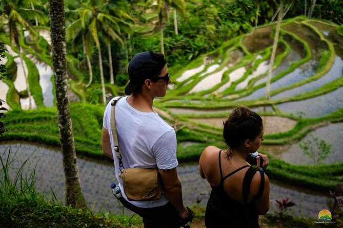 Private Tour: Balinese Culture and Scenery (visit ubud area) - Key Points
