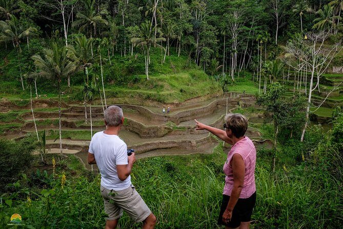 Private Tour: Balinese Culture and Scenery (visit ubud area) - FAQ