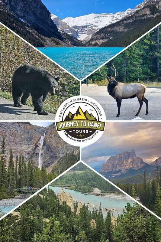 Private Tour Banff/Emerald Yoho Customized Sightseeing - Who Should Consider This Tour?