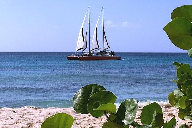 Private Tour: Barbados Catamaran Snorkeling Cruise - Who Will Love This Experience?
