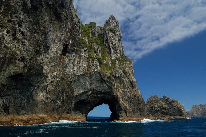 Private Tour: Bay of Islands Day Trip from Auckland - The Experience in Detail