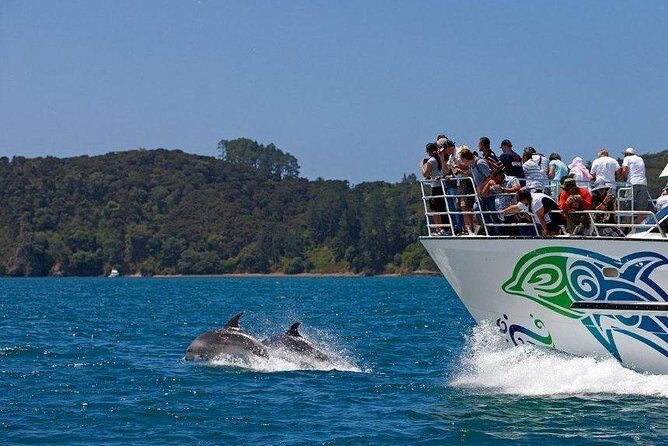 Private Tour: Bay of Islands Day Trip from Auckland - Frequently Asked Questions