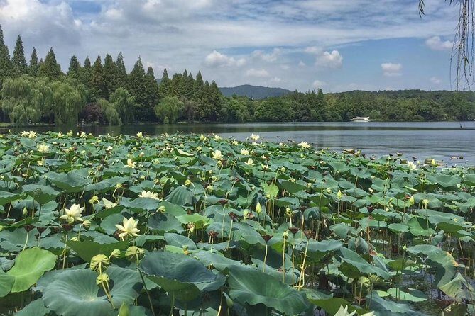 Private Tour: Beijing Hutong Night Walking and snacks Taste - Who Will Love This Tour?