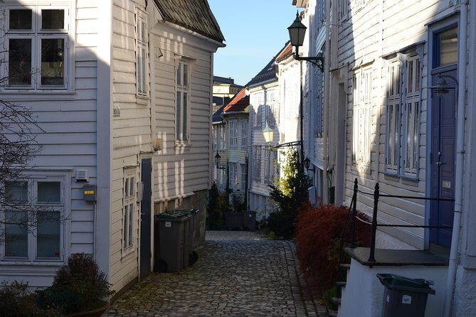 PRIVATE TOUR: Bergen city sightseeing, 3 hours - Why This Tour is Worth Considering