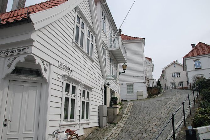 PRIVATE TOUR: Bergen city sightseeing, 5 hours - A Deep Dive into Bergen’s Private Tour Experience