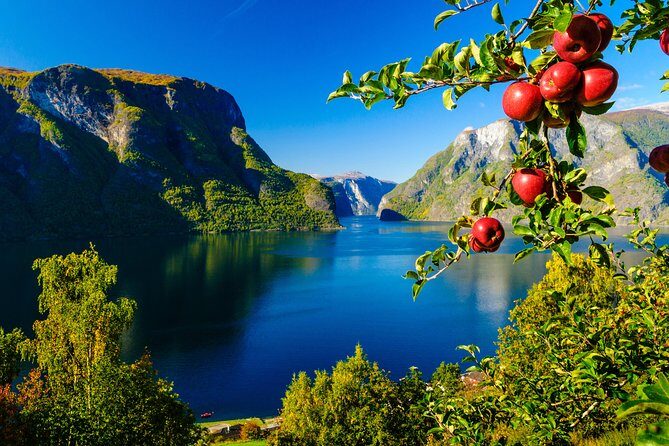 Private tour, Bergen to Oslo - Nærøyfjord Cruise & Flåm Railway - How Does It Value Compare?