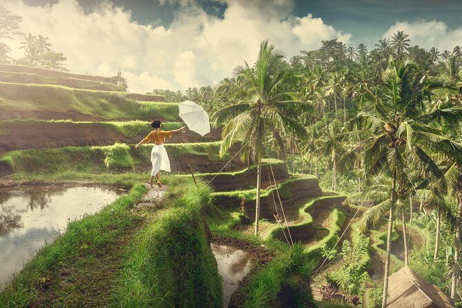 Private Tour: Best of Bali - All Inclusive Tickets - Optional Stops and Flexibility