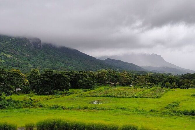 Private Tour: Best of Nadi Highlights - Key Points