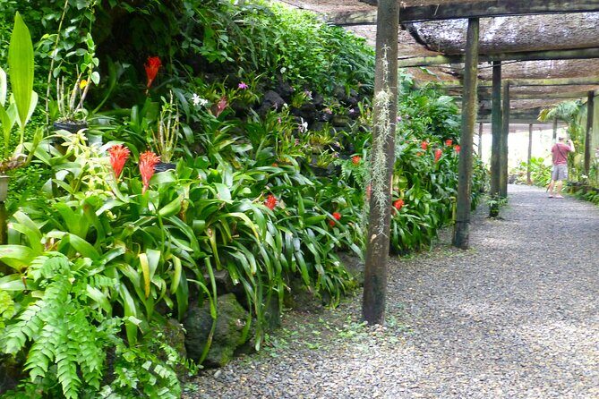 Private Tour: Best of Nadi Highlights - Frequently Asked Questions