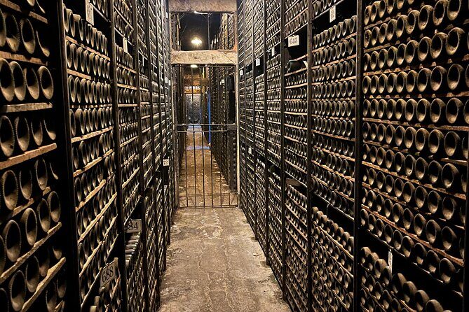 Private tour Bilbao to La Rioja A day of Winery Tours and Tasting - Possible Drawbacks to Consider