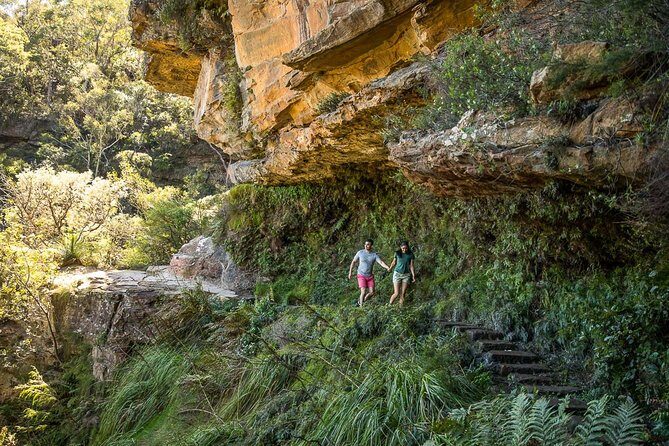 Private Tour: Blue Mountains Hiking & Nature - In-Depth Look at This Blue Mountains Experience