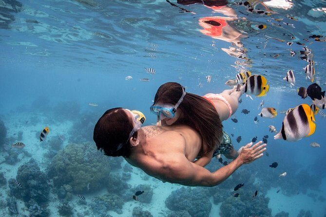 Private Tour: Bora Bora Lagoon Eco Snorkel Cruise - 3hrs or 6hrs - FAQs