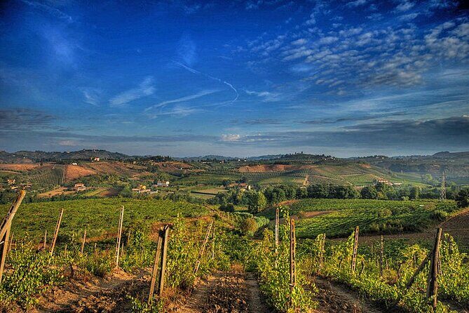 Private tour Brunello di Montalcino and Nobile di Montepulciano wine experience in Tuscany - Who Should Book This Tour?