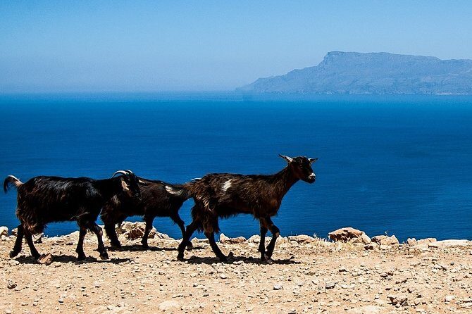 PRIVATE TOUR by 4x4 to Balos lagoon and Falassarna beach - A Deep Dive into the Experience