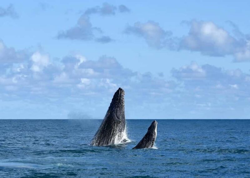 Private Tour Cabo Frio: Natural Beauty and Local Culture - The Experience in Detail