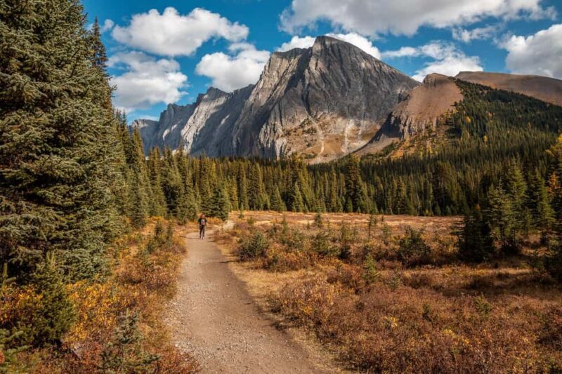Private Tour: Canmore 2-Hour Guided Nature Walk - Exploring Canmore’s Natural Charm in Two Hours