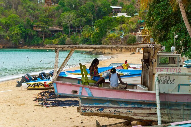 Private Tour Castara Bay from Tobago - An In-Depth Look at the Tobago Castara Bay Private Tour