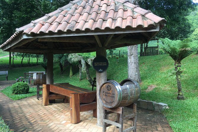 Private Tour Cave Geisse + 2 Wineries from Pinto Bandeira RS - A Closer Look at the Pinto Bandeira Wine Tour