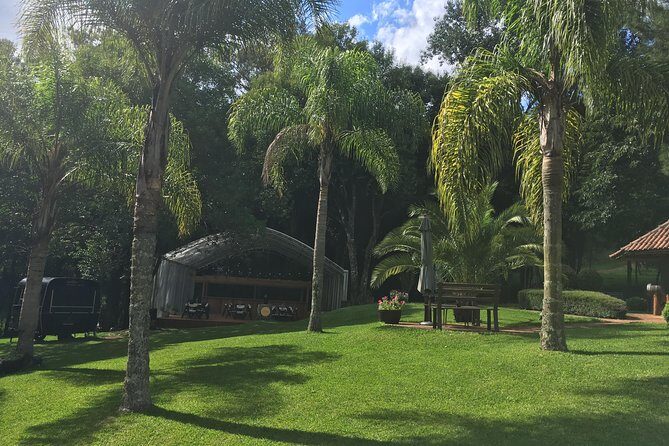 Private Tour Cave Geisse + 2 Wineries from Pinto Bandeira RS - Final Thoughts