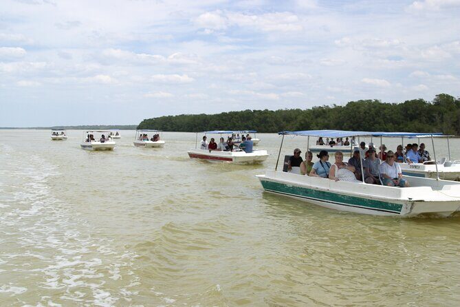 Private Tour: Celestun Biosphere Reserve by Yucatan Concierge - Why This Tour Is Worth Considering