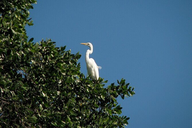 Private Tour: Celestun Biosphere Reserve by Yucatan Concierge - FAQ