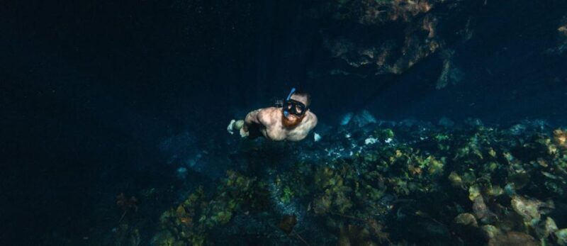 Private Tour cenotes of Mucuyche & Santa Barbara in one day - An In-Depth Look at the Cenotes of Yucatán