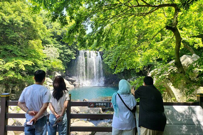 Private Tour Cheonjeyeon Falls & Spirited Garden in Jeju Island - Exploring the Highlights of Your Jeju Journey