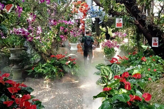 Private Tour Chiang Rai 3 Wonderful Temples & Lalitta Cafe - Who Will Love This Tour?