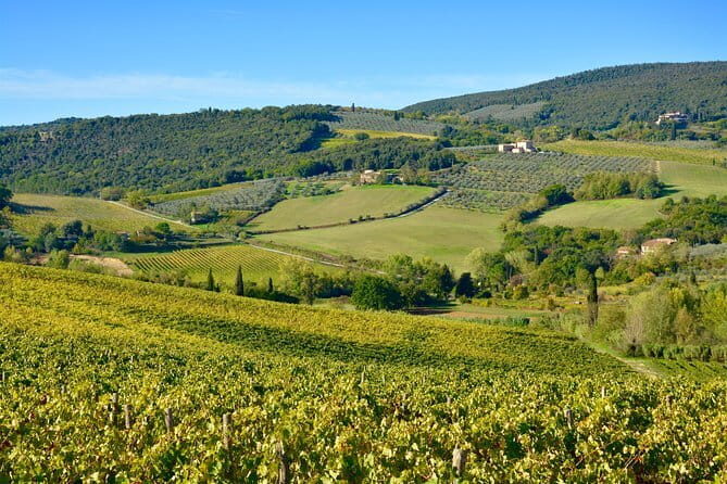 Private Tour: Chianti Region Tour by Minivan - An In-Depth Look at the Chianti Private Tour