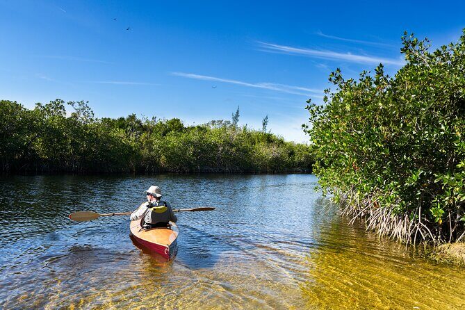 Private Tour Clear Bottom Kayak Mangrove - Key Points