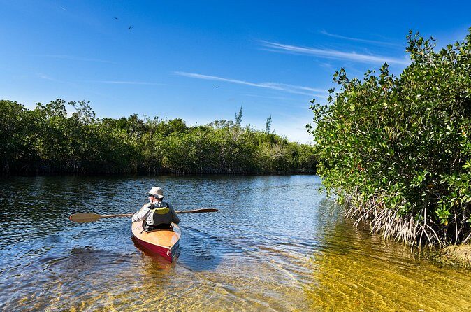 Private Tour Clear Bottom Kayak Mangrove - Who Will Enjoy This Tour?