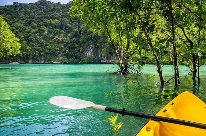 Private Tour Clear Bottom Kayak Mangrove - FAQs about the Private Clear Bottom Kayak Mangrove Tour