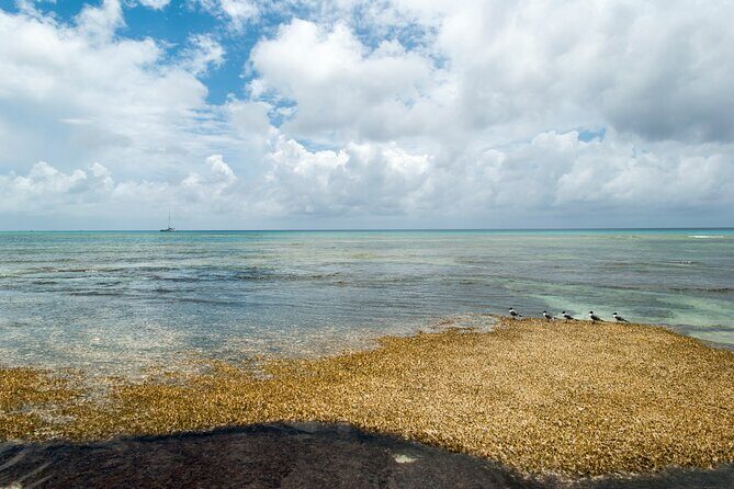 Private Tour Cockburn Town Cultural with Rum Cake - Key Points
