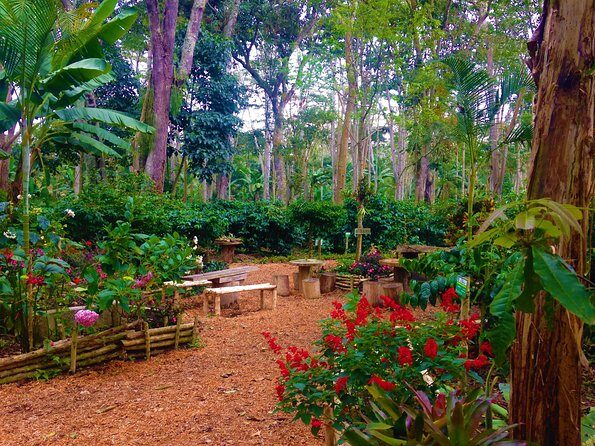 Private Tour - Coffee Tour (Cultivations) - FAQs About the Coffee Tour in Bucaramanga