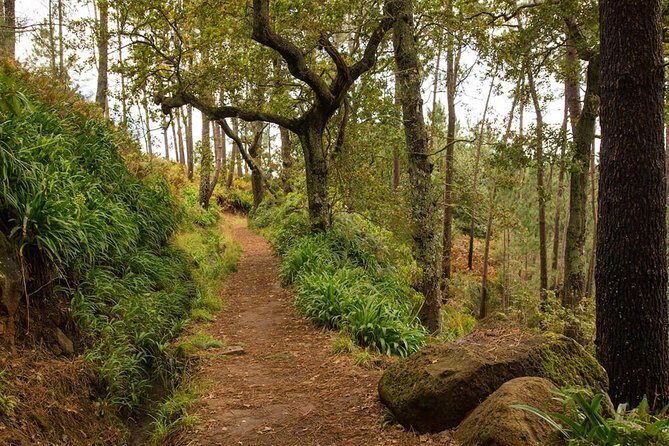 Private Tour: Combo Expedition (Jeep Tour & Levada Walk) - Key Points