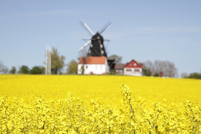 Private tour Copenhagen to Lund & Malmö City daytrip - Who This Tour Is Best For