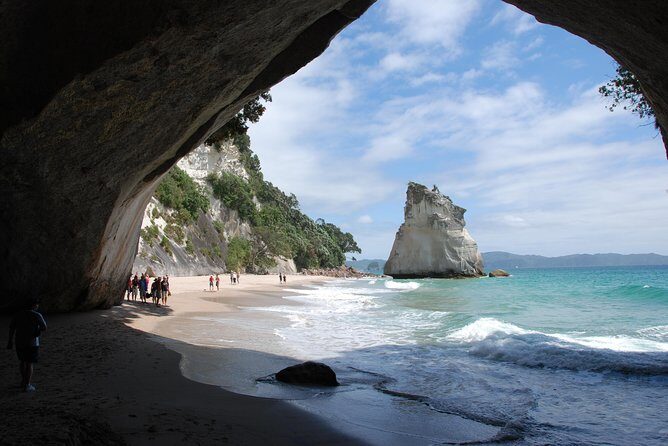 Private Tour - Coromandel Beach, Caves & Forest - Who Would Love This Tour?