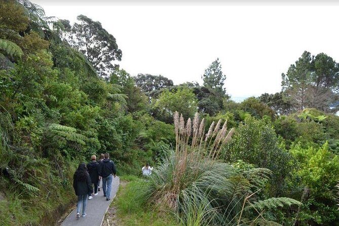 Private Tour - Coromandel Beach, Caves & Forest - Frequently Asked Questions
